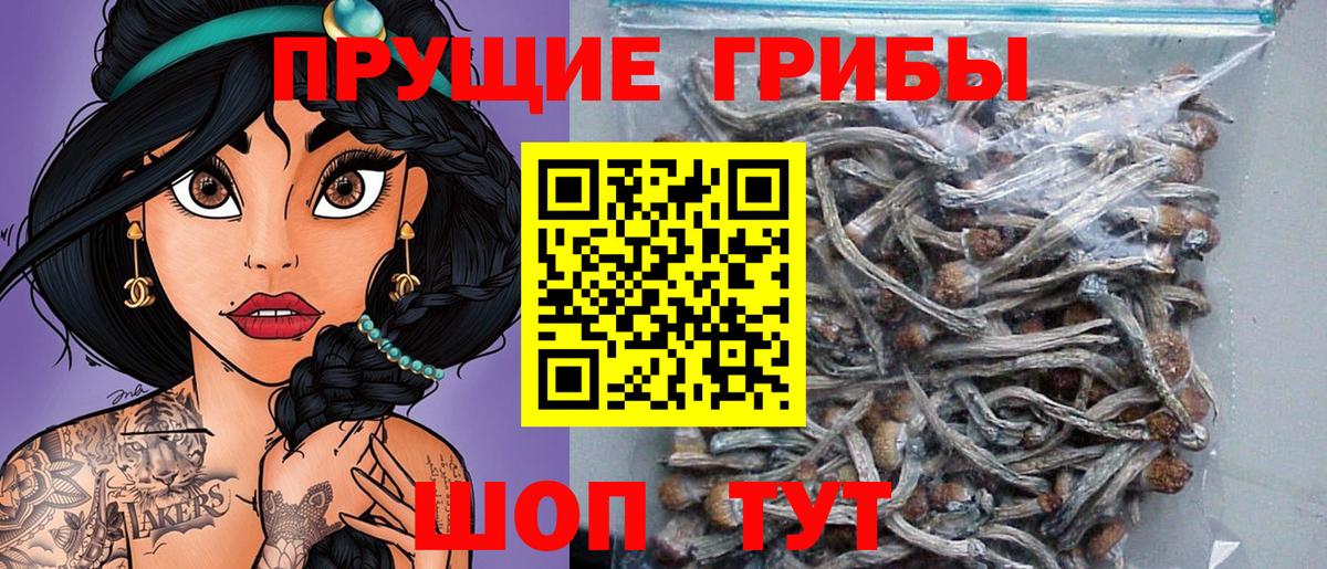 Арсеньев  Галлюциногенные грибы мицелий  Вход с VPN 
