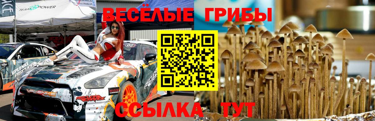 Псилоцибиновые грибы Psilocybine cubensis Арсеньев